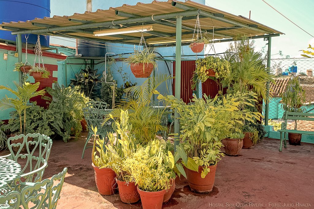 Casa_Particular_Hostal_Olga_Rivera_Gomez_Santa_Clara_Terrasse