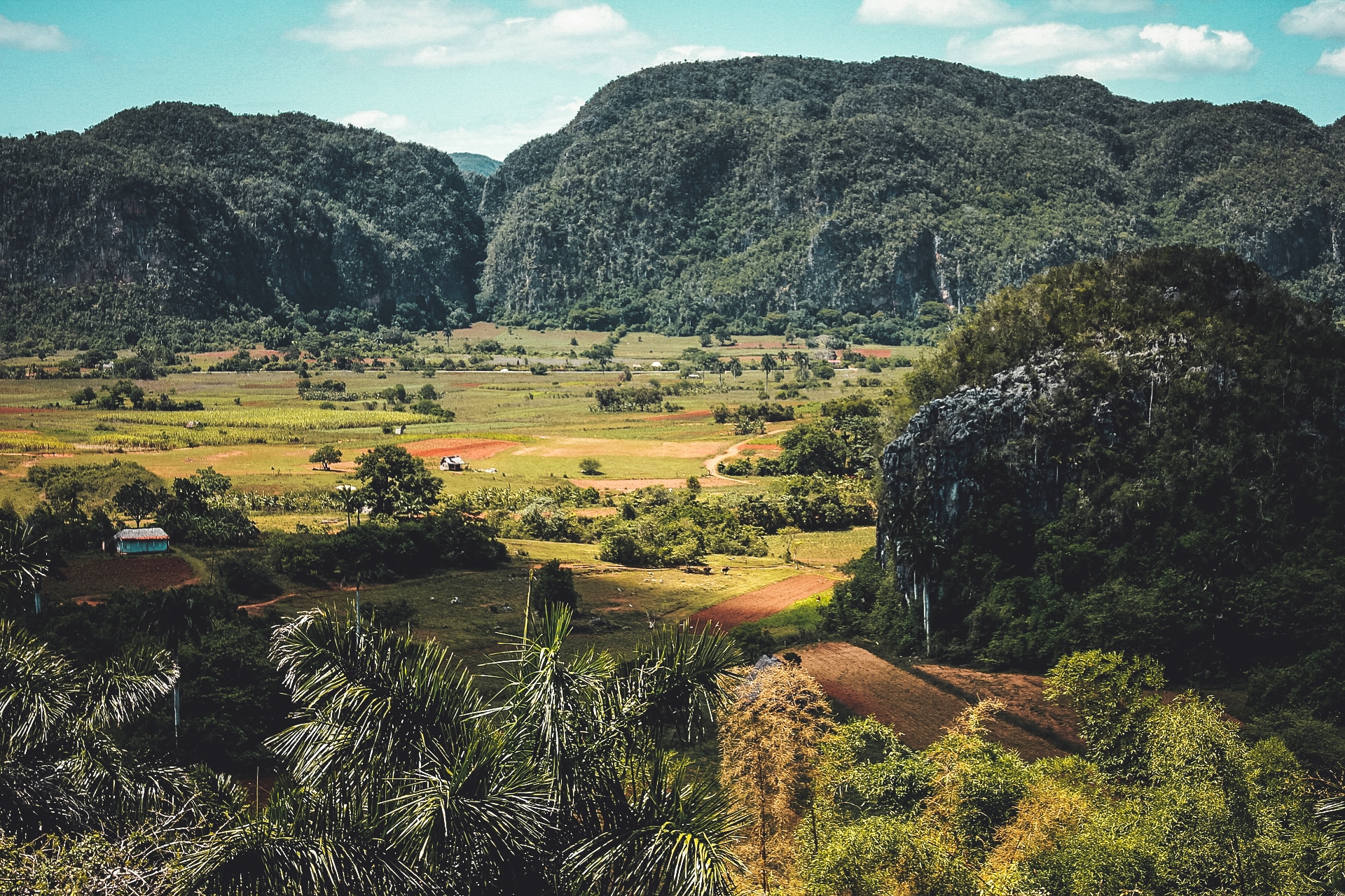 Valle de Viñales 